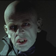 Illustration for article titled Werner Herzogs emNosferatu: Phantom der Nacht/em